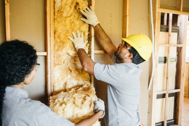 Best Insulation Removal  in Goldens Bridge, NY